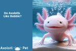 Axolotls Bubbles