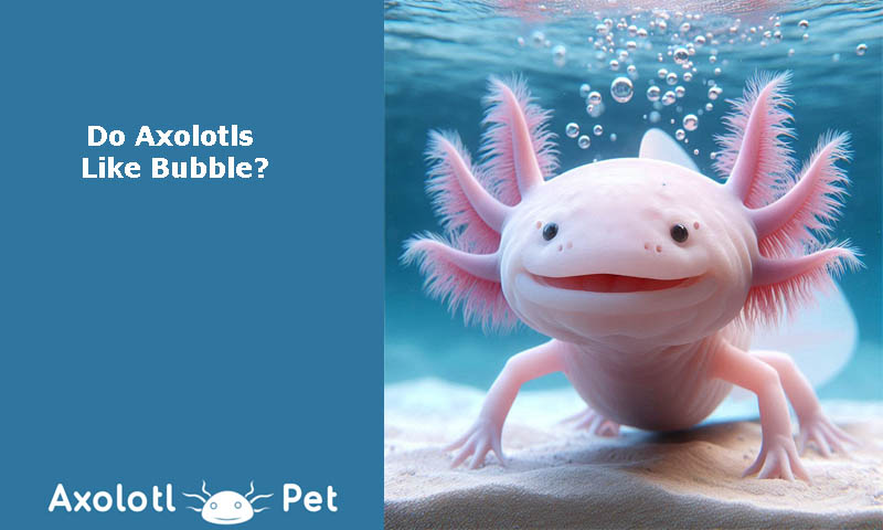 Axolotls Bubbles