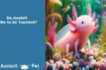 Axolotls Touched